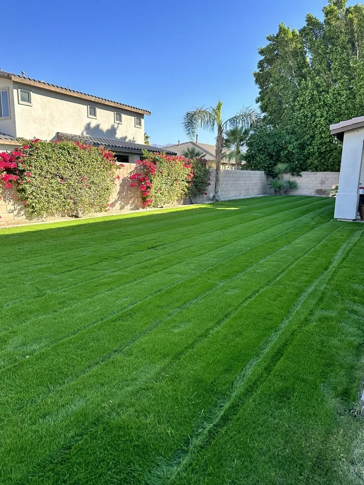 Local landscape design in Indio, CA - Juan Lopez Landscaping