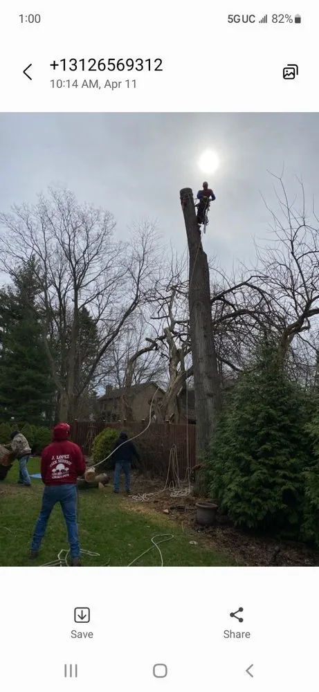 Top-rated outdoor landscaping in Aurora, IL - Juan Lopez Tree Service