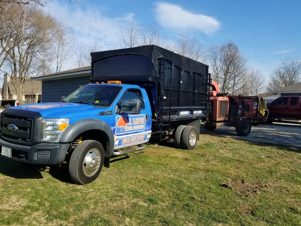 Affordable yard cleanup service in Aurora, IL by Juan Lopez Tree Service