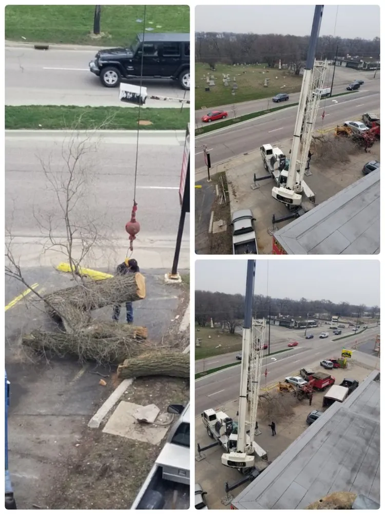 Local landscape design in Aurora, IL by Juan Lopez Tree Service