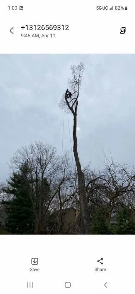 Reliable yard maintenance near you across Aurora, IL - Juan Lopez Tree Service