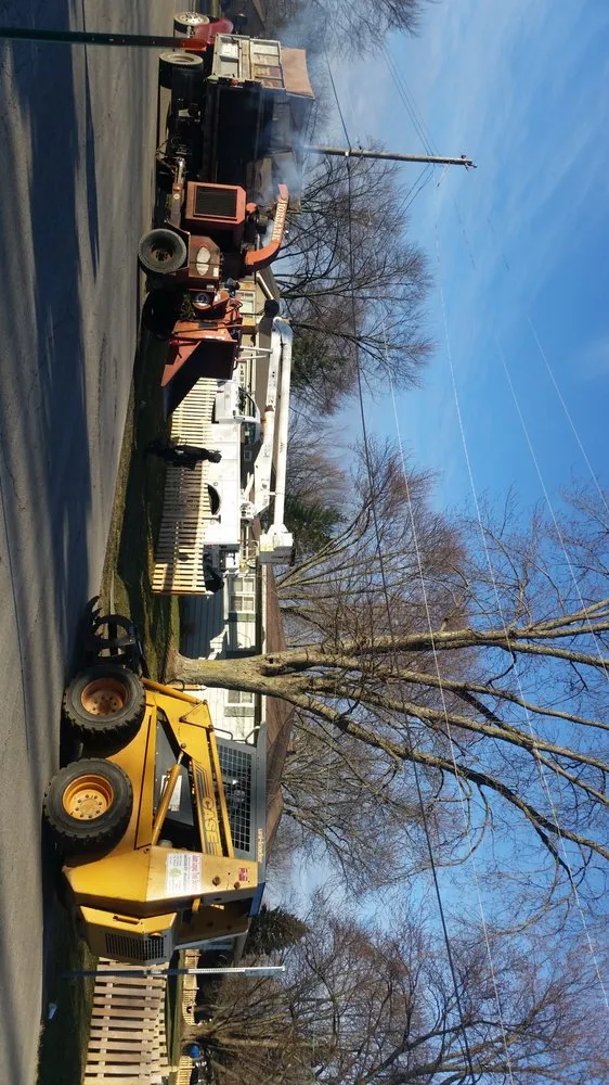 Expert outdoor landscaping experts serving Aurora, IL - Juan Lopez Tree Service