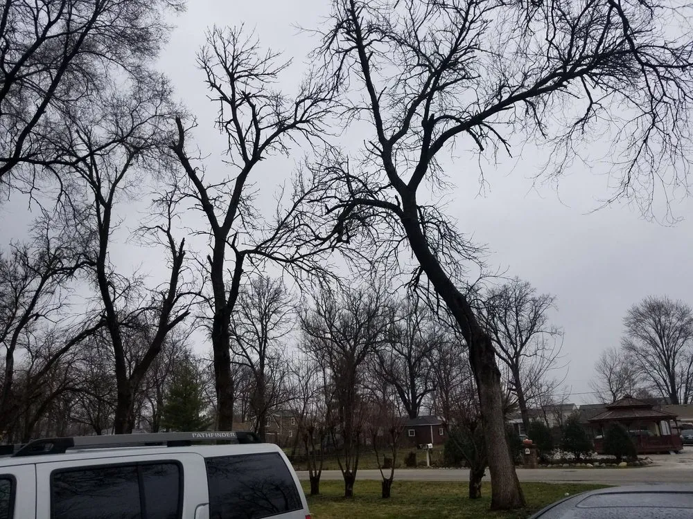 Local residential landscaping in Aurora, IL - Juan Lopez Tree Service