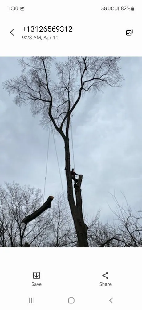 Professional outdoor landscaping experts serving Aurora, IL - Juan Lopez Tree Service