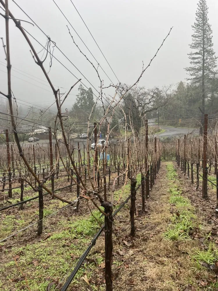 Expert landscape installation experts serving Angwin, CA - Juan Martinez Landscaping