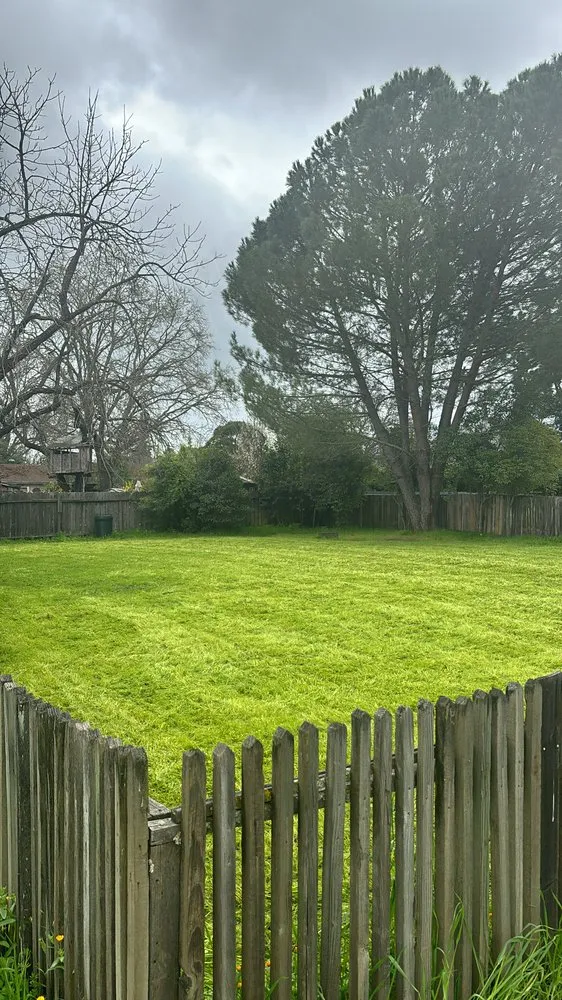 Expert yard maintenance in Angwin, CA - Juan Martinez Landscaping