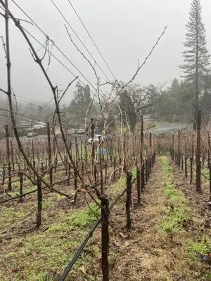 Juan Martinez Landscaping