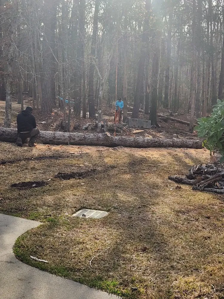 Professional landscape design experts serving Lugoff, SC - Juan Mata Lawn Care Services