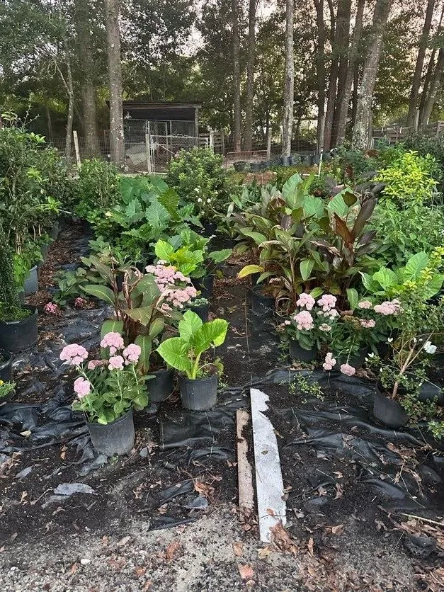 Reliable landscape design for residential properties across Lugoff, SC - Juan Mata Lawn Care Services