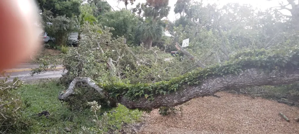 Expert yard cleanup service in Fort Pierce, FL by Juan Moreno Landscaping
