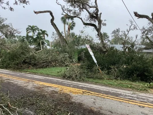 Juan Moreno Landscaping Logo