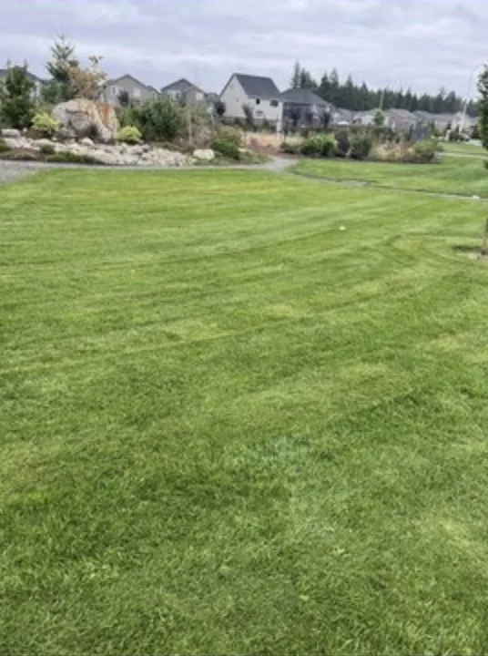 Reliable landscape design in Tacoma, WA - Juan N Lawn Service
