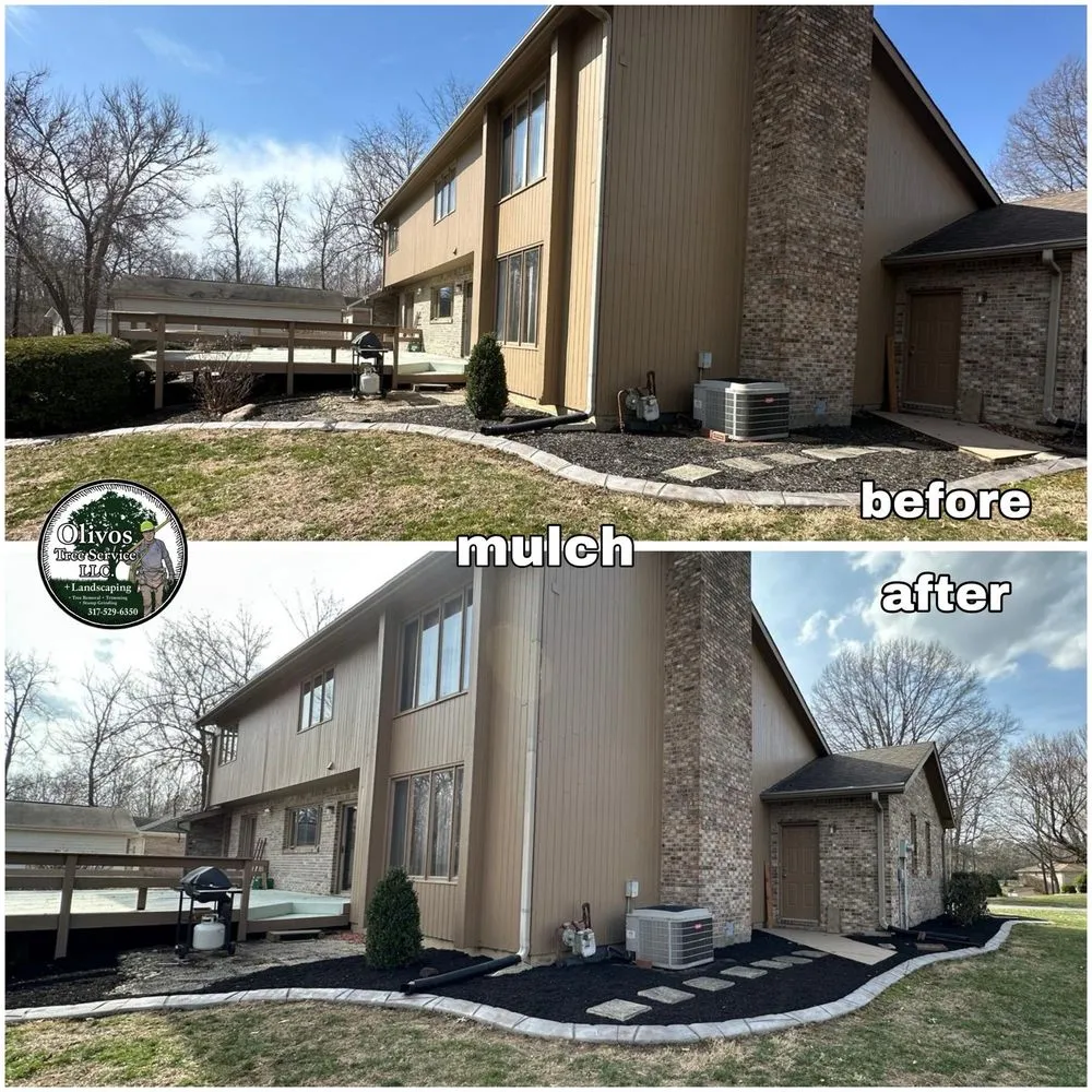 Affordable yard maintenance for residential properties in Plainfield, IN by Juan Olivos Tree Services plus Landscaping