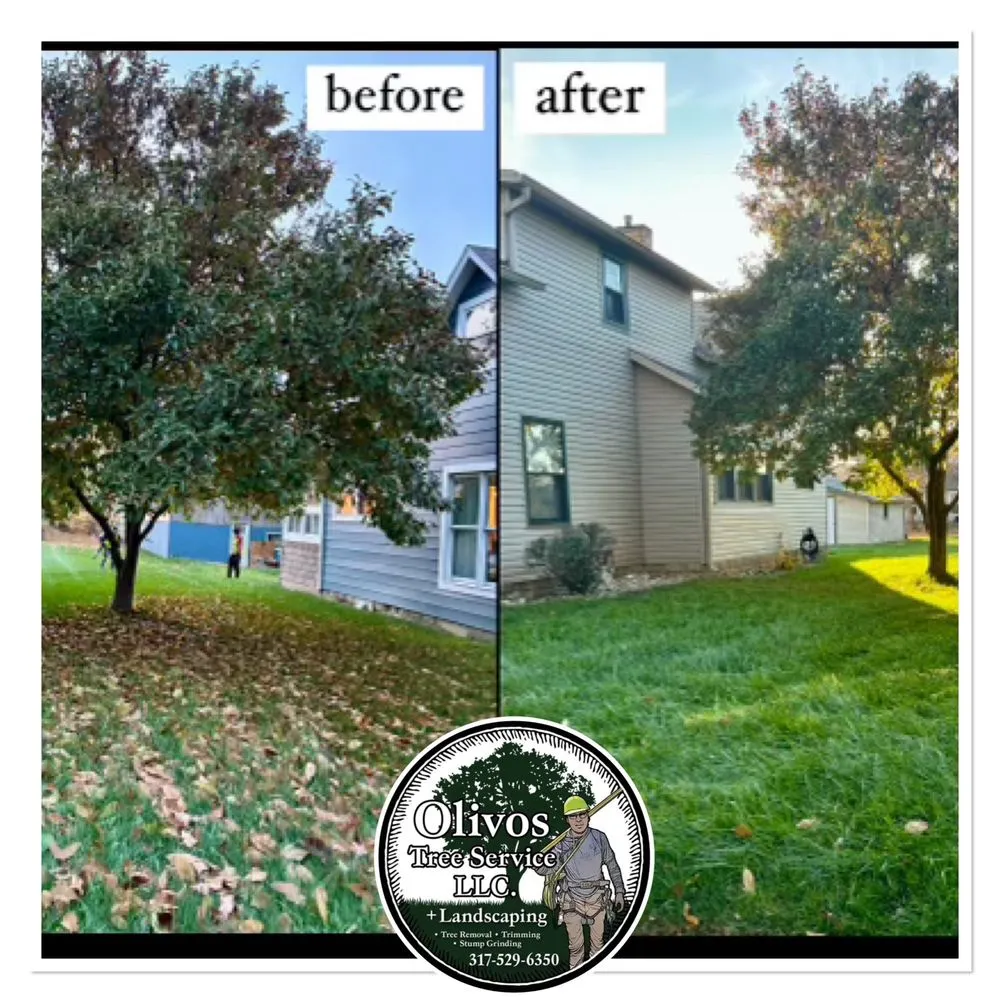 Local lawn care service with custom design across Plainfield, IN - Juan Olivos Tree Services plus Landscaping