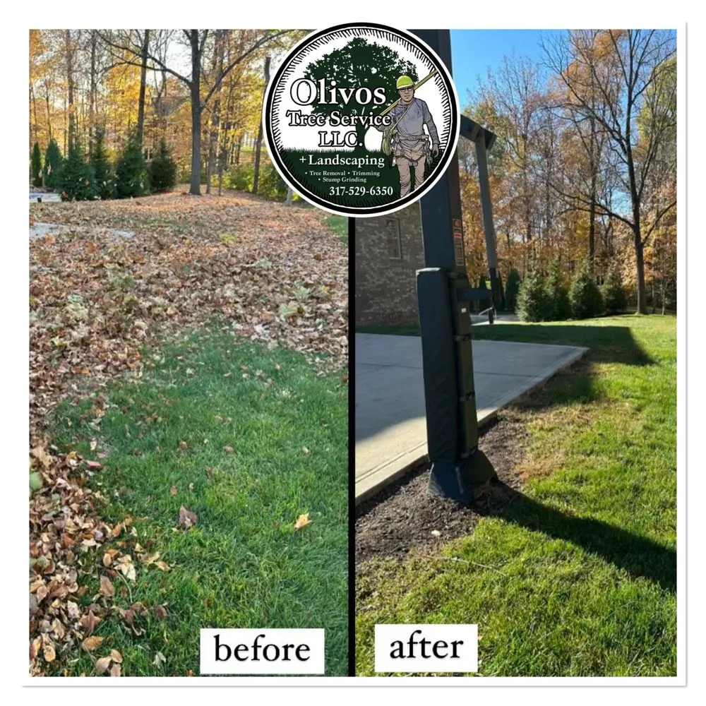 Affordable landscape installation in Plainfield, IN by Juan Olivos Tree Services plus Landscaping
