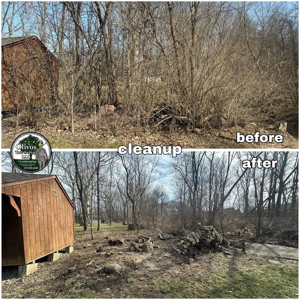 Local garden landscaping experts serving Plainfield, IN - Juan Olivos Tree Services plus Landscaping