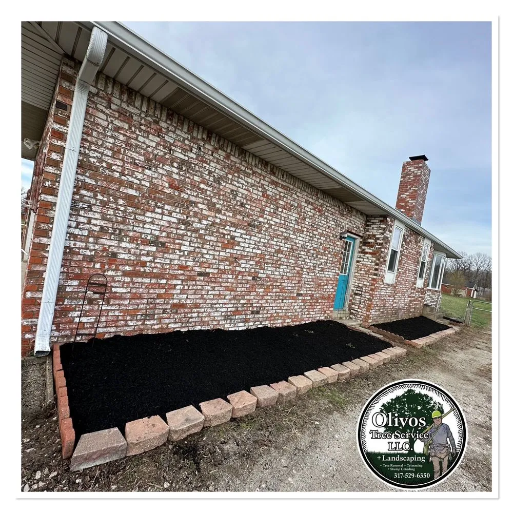 Trusted yard maintenance in Plainfield, IN - Juan Olivos Tree Services plus Landscaping