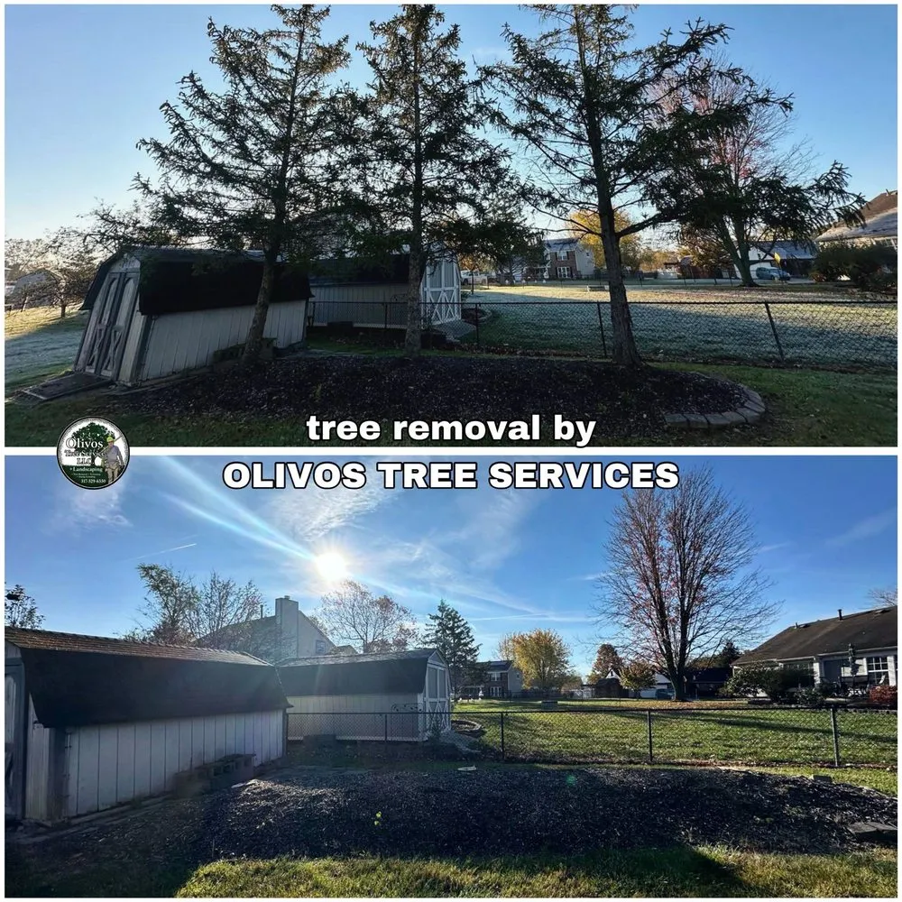 Trusted landscape design in Plainfield, IN by Juan Olivos Tree Services plus Landscaping