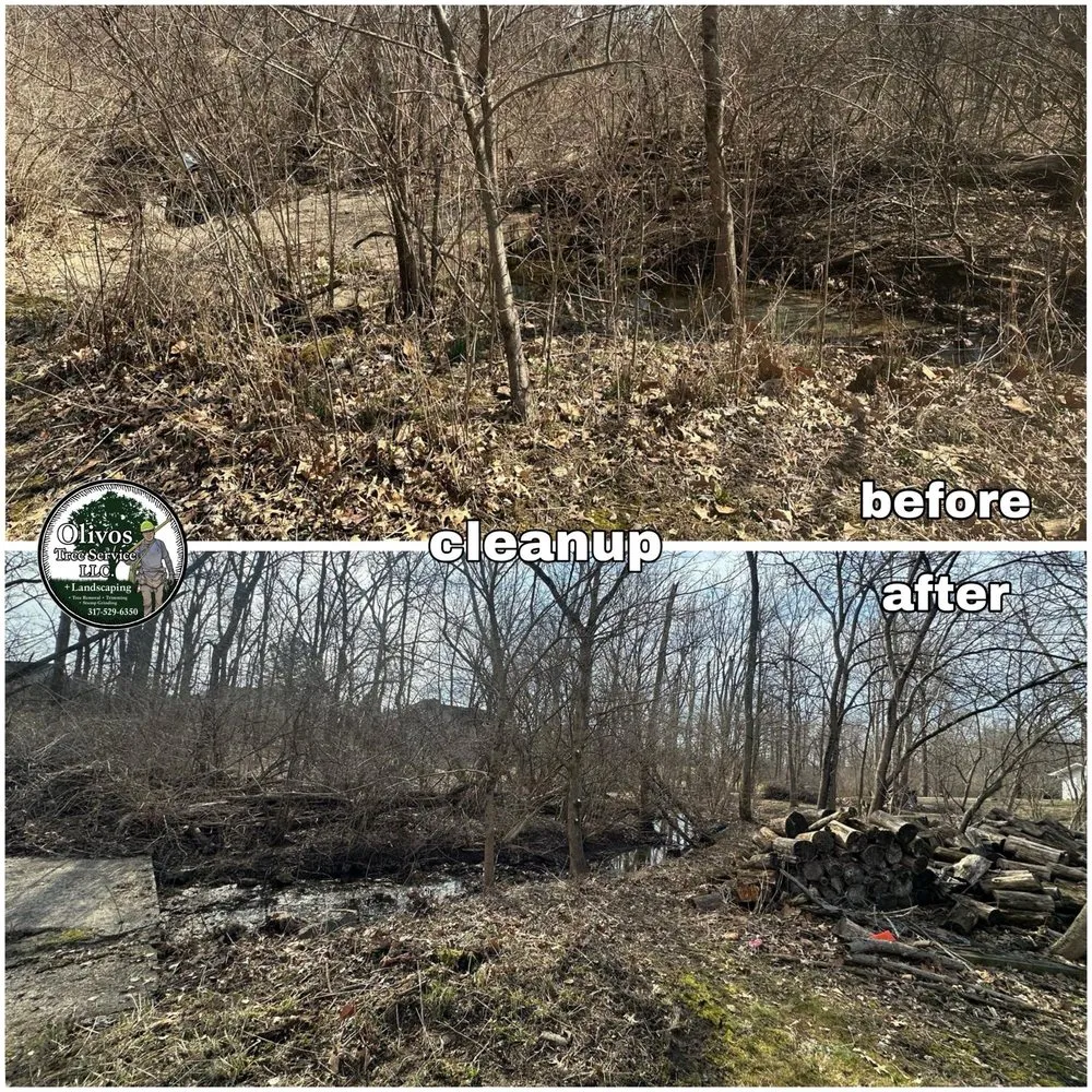 Reliable lawn care service experts serving Plainfield, IN - Juan Olivos Tree Services plus Landscaping