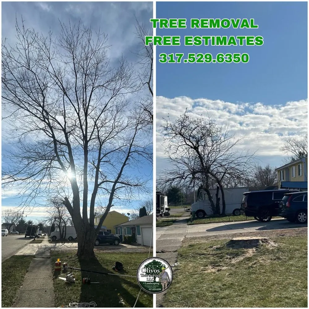 Professional outdoor landscaping in Plainfield, IN by Juan Olivos Tree Services plus Landscaping