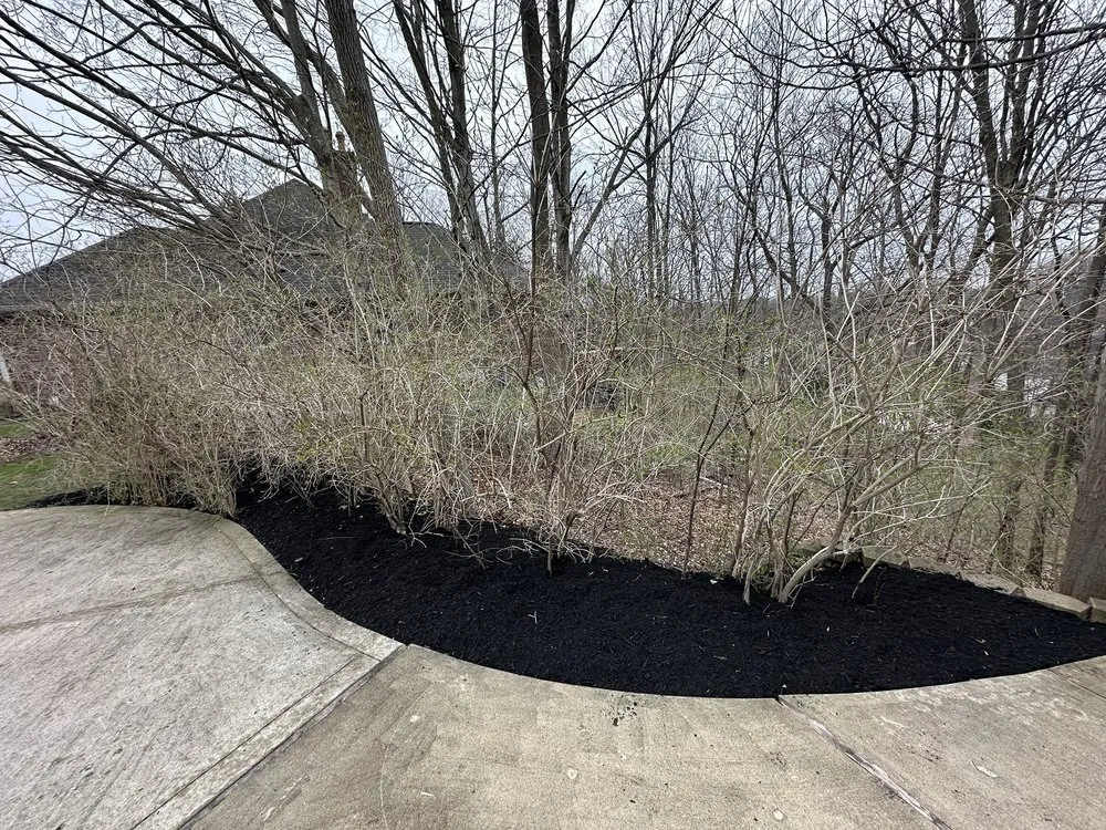 Affordable landscape installation for outdoor upgrades in Plainfield, IN by Juan Olivos Tree Services plus Landscaping