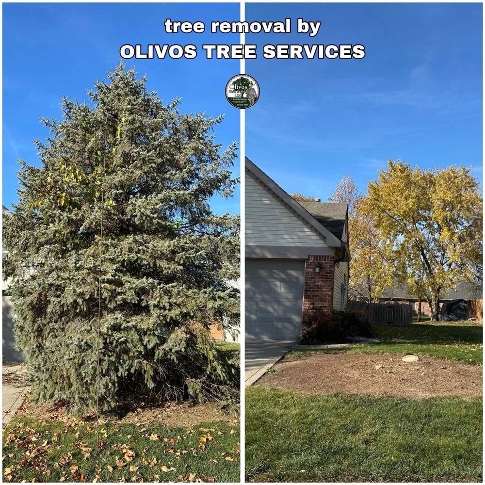 Top-rated lawn mowing service in Plainfield, IN - Juan Olivos Tree Services plus Landscaping