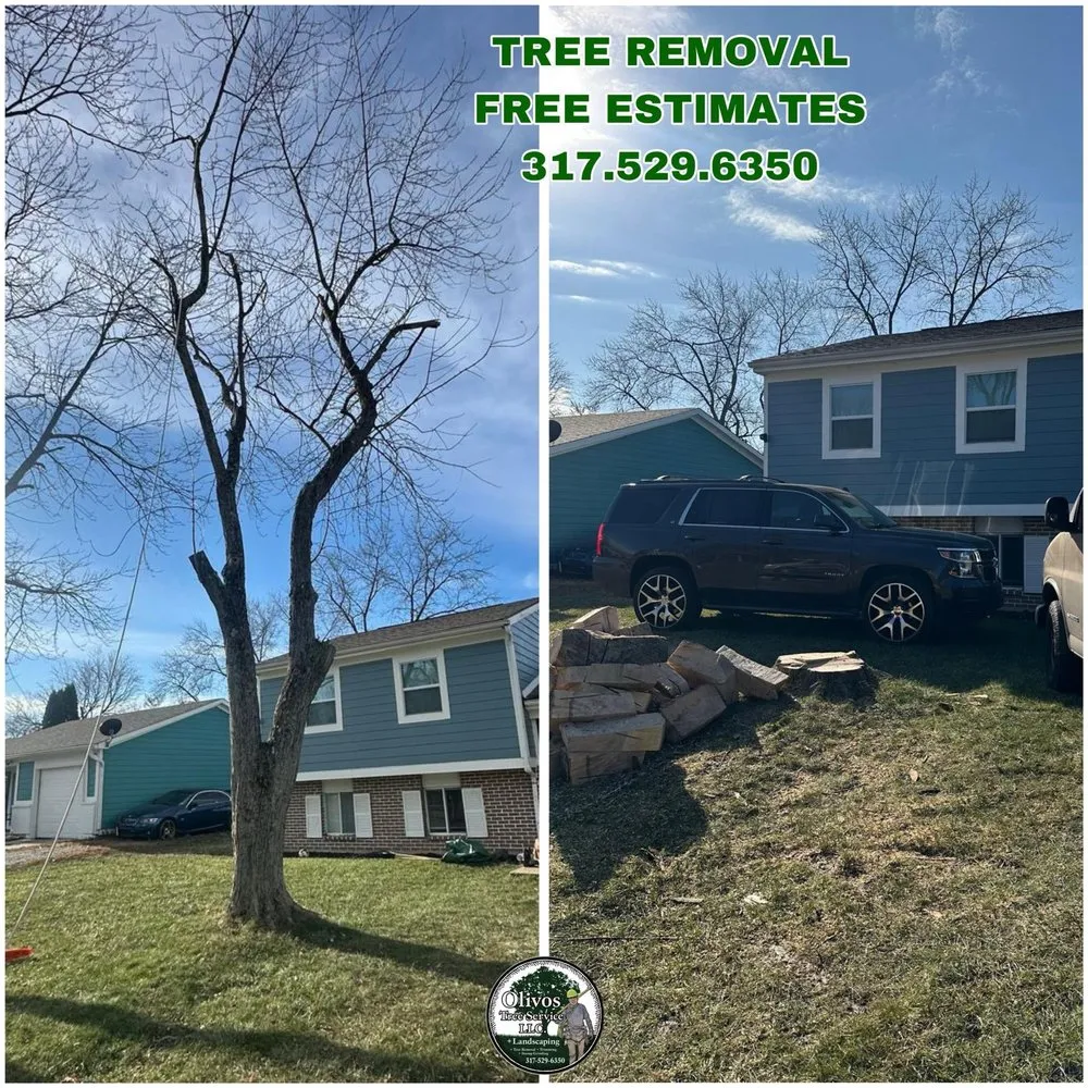 Reliable yard cleanup service in Plainfield, IN by Juan Olivos Tree Services plus Landscaping