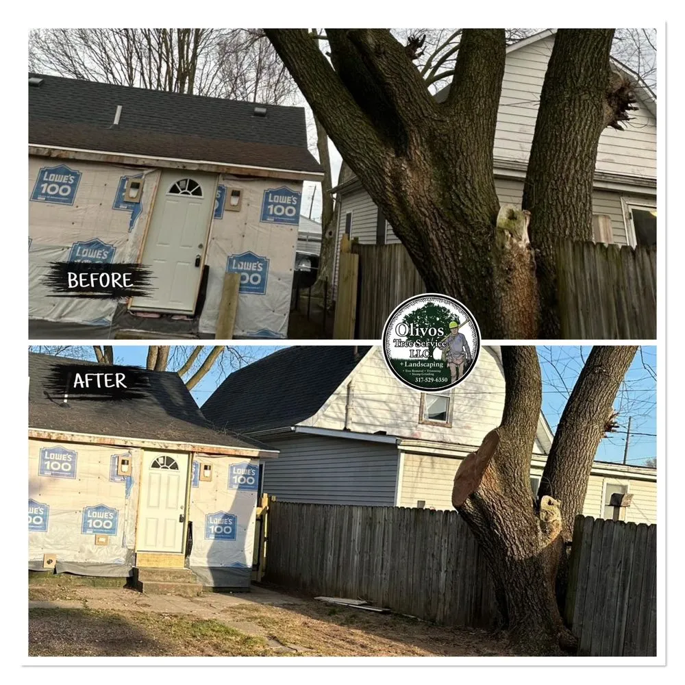 Expert landscape installation for residential properties in Plainfield, IN by Juan Olivos Tree Services plus Landscaping