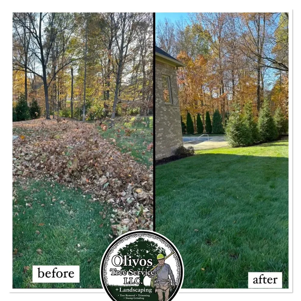 Expert lawn care service in Plainfield, IN by Juan Olivos Tree Services plus Landscaping
