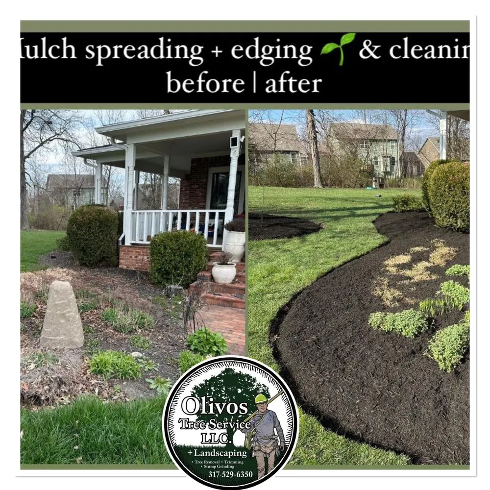 Reliable landscaping services in Plainfield, IN - Juan Olivos Tree Services plus Landscaping