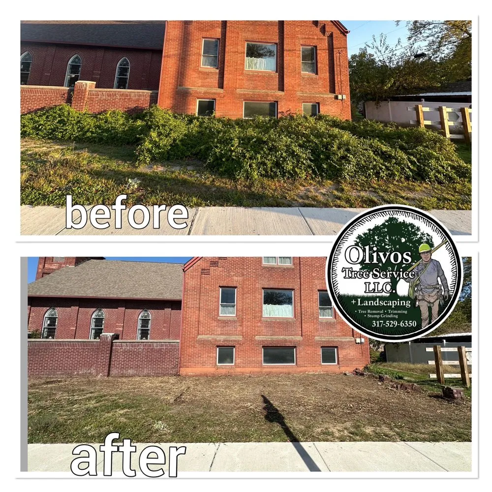 Professional lawn mowing service experts serving Plainfield, IN - Juan Olivos Tree Services plus Landscaping