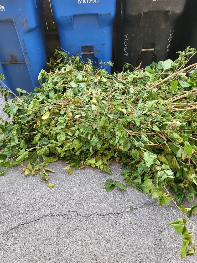 Reliable lawn care service with custom design in Chicago, IL by Juan Patino