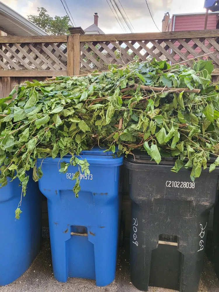 Expert yard maintenance near you across Chicago, IL - Juan Patino