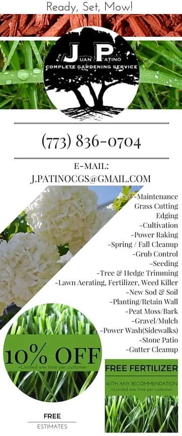 Affordable yard cleanup service experts serving Chicago, IL - Juan Patino