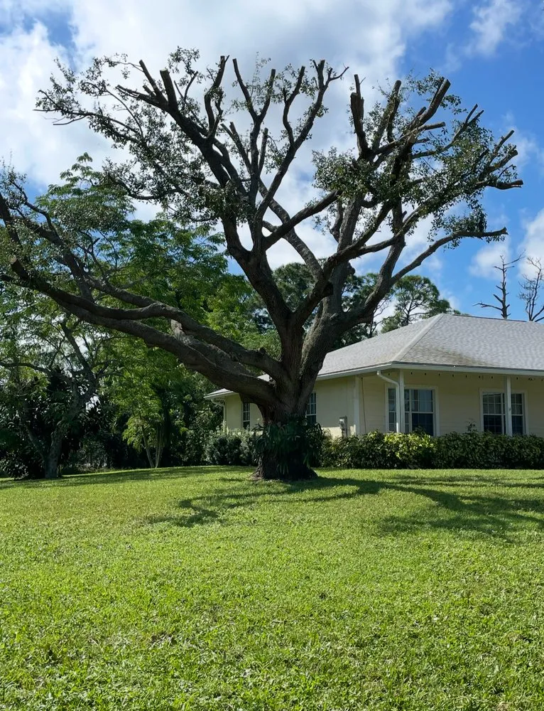 Top-rated landscaping services with custom design across Stuart, FL - Juan Perez Lawn And Tree Service