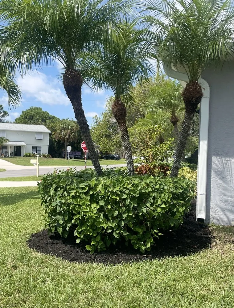 Professional lawn mowing service with custom design across Stuart, FL - Juan Perez Lawn And Tree Service