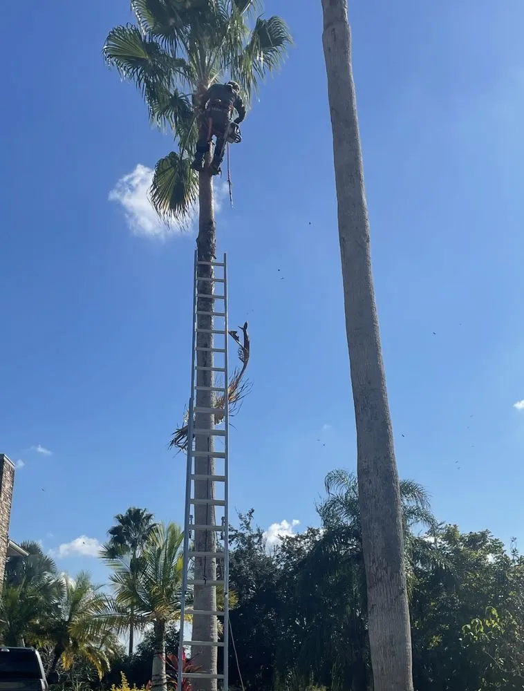 Local landscape design in Stuart, FL by Juan Perez Lawn And Tree Service