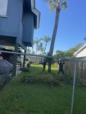 Juan Perez Lawn And Tree Service Logo