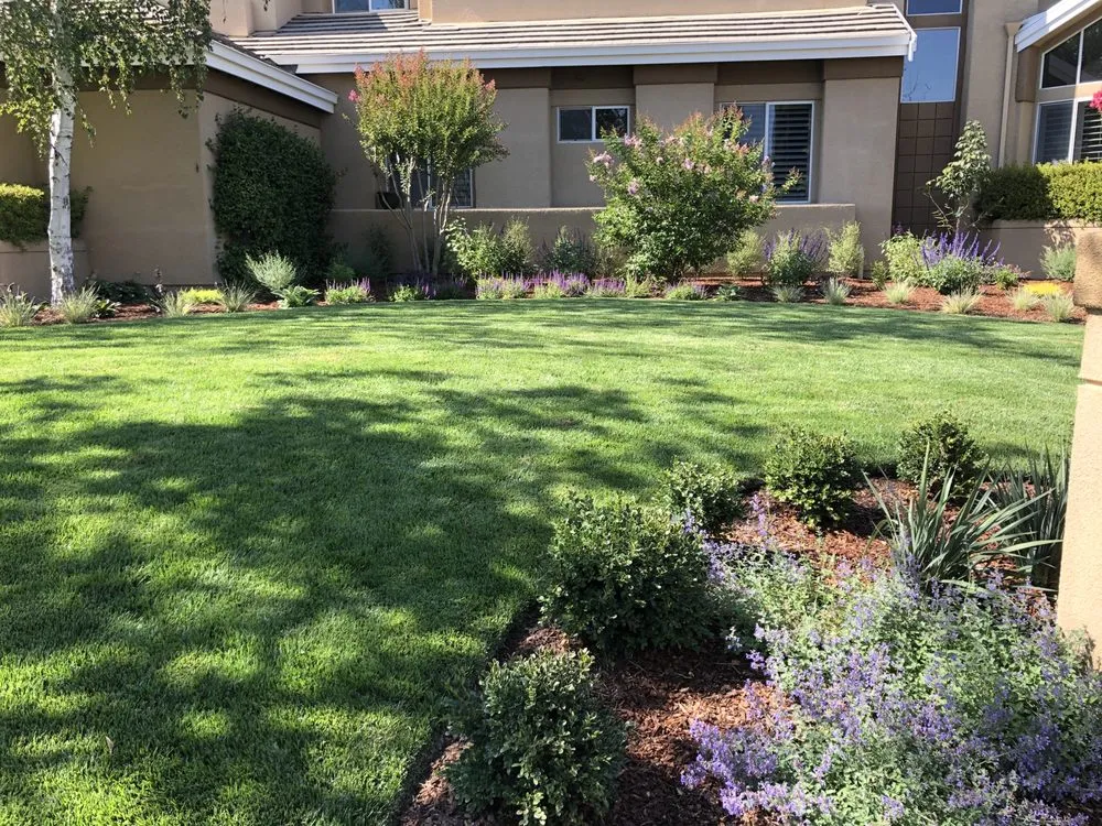 Custom outdoor landscaping in Clayton, CA by Juan Rios Landscaping