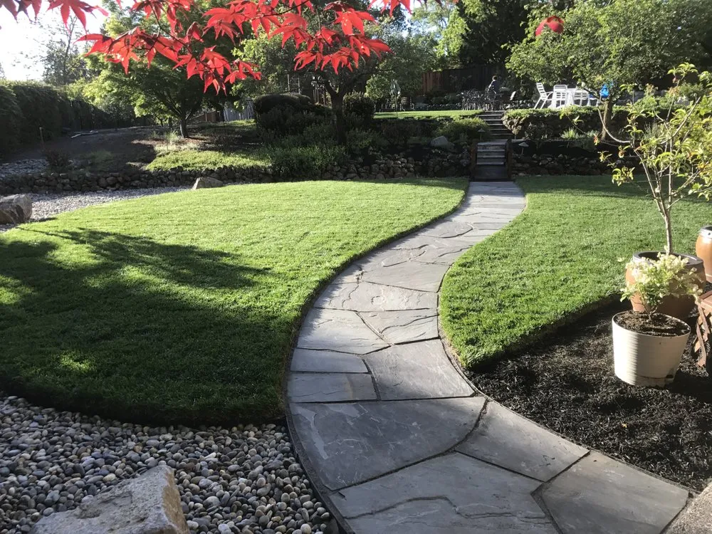 Reliable yard cleanup service in Clayton, CA by Juan Rios Landscaping