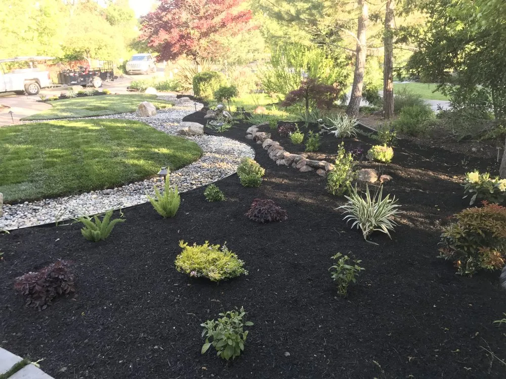 Expert yard cleanup service experts serving Clayton, CA - Juan Rios Landscaping
