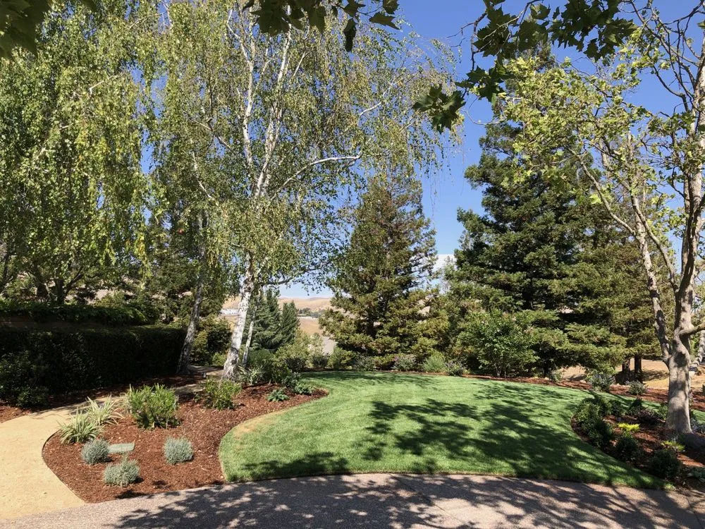 Expert garden landscaping for outdoor upgrades in Clayton, CA by Juan Rios Landscaping