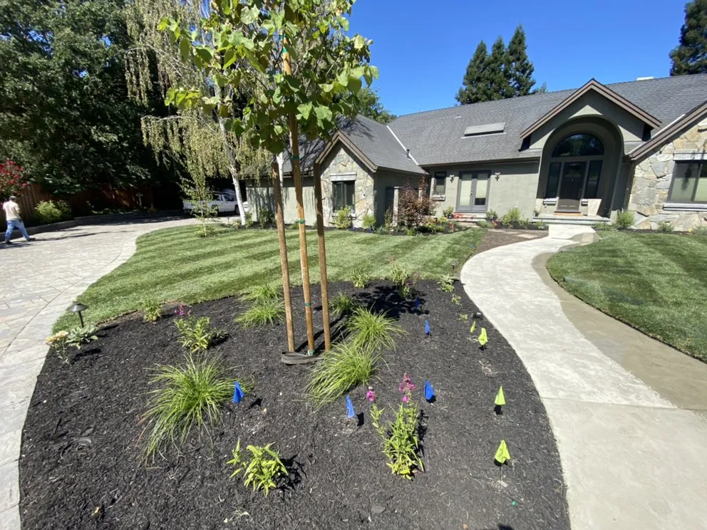 Trusted landscaping services near you in Clayton, CA by Juan Rios Landscaping
