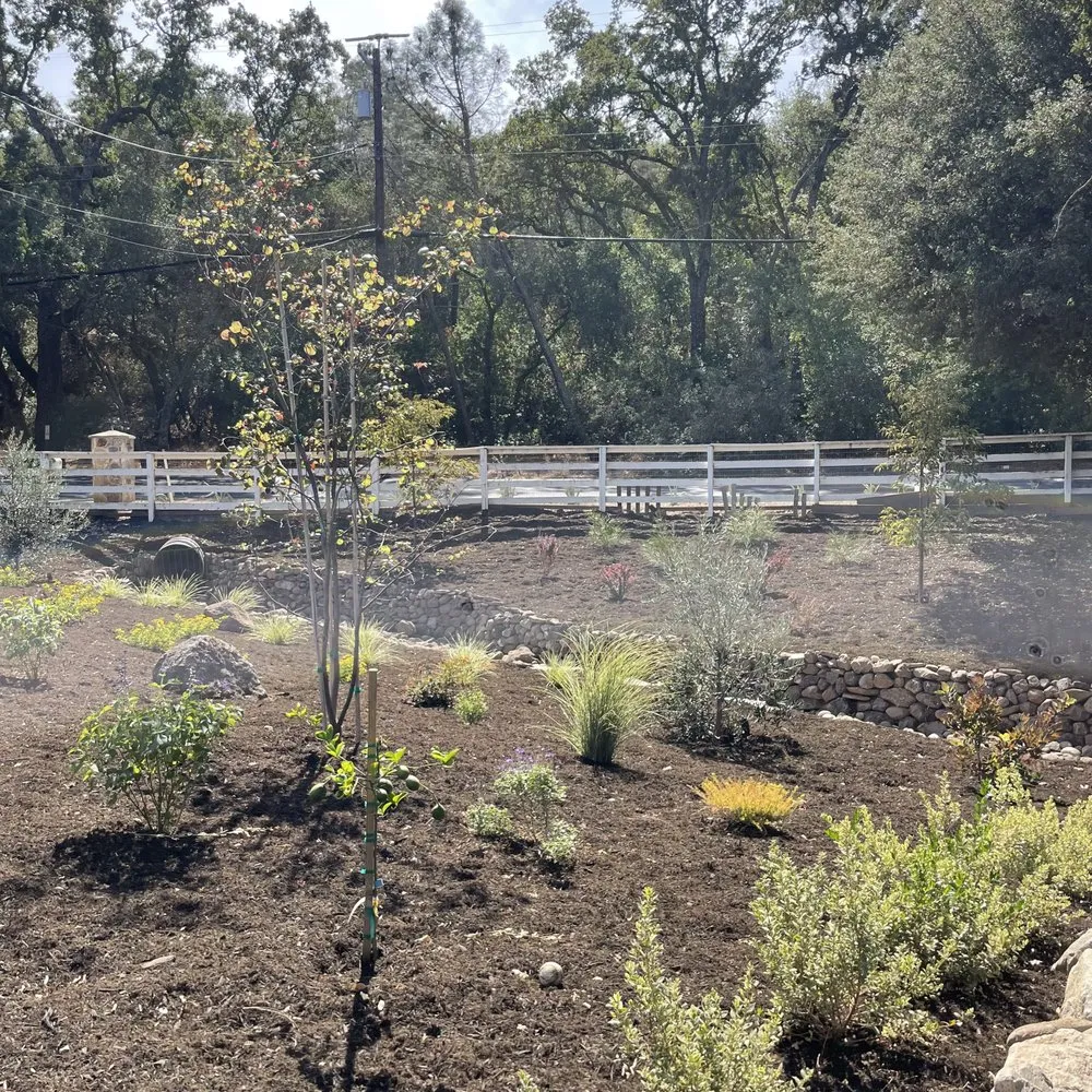 Trusted outdoor landscaping for year-round maintenance across Clayton, CA - Juan Rios Landscaping