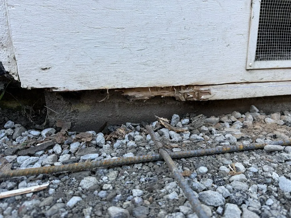 Affordable yard maintenance in Fremont, CA by Juan Rodriguez Landscaping