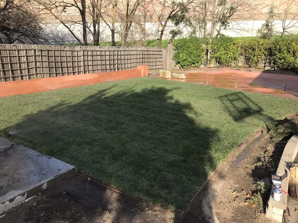 Trusted lawn care service for beautiful yards across Fremont, CA - Juan Rodriguez Landscaping