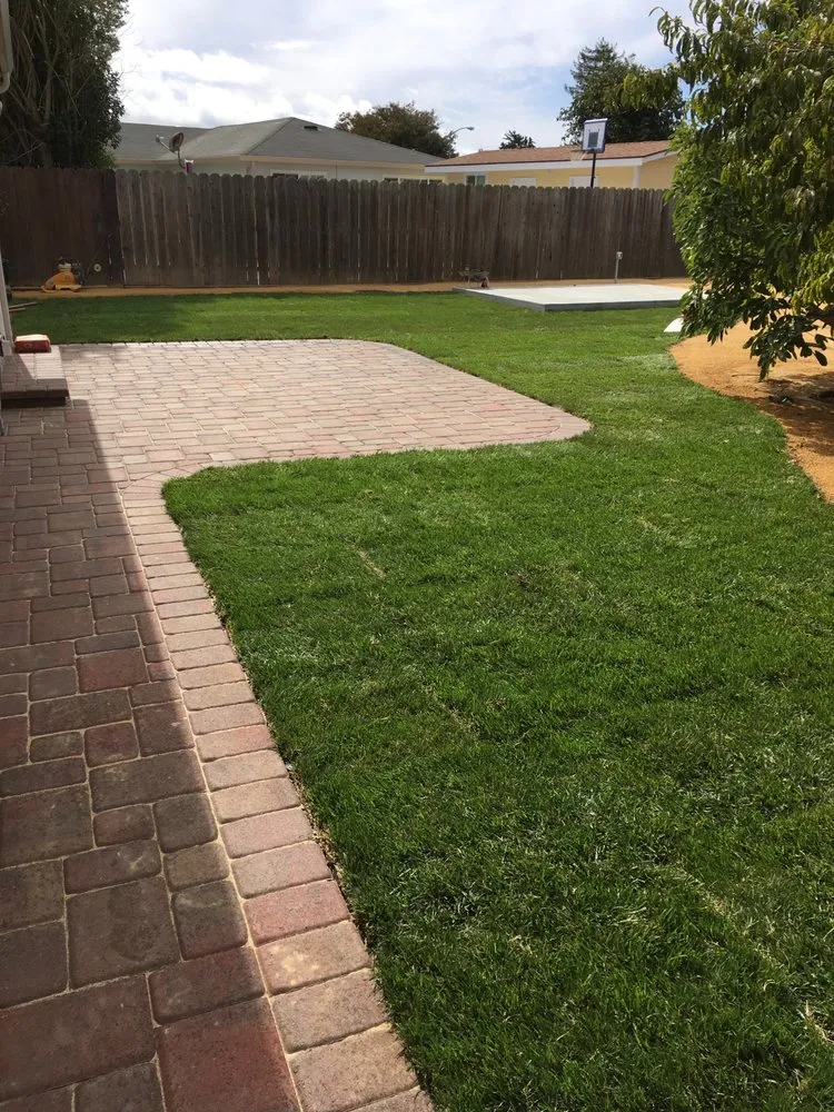 Affordable landscaping services for year-round maintenance in Fremont, CA by Juan Rodriguez Landscaping