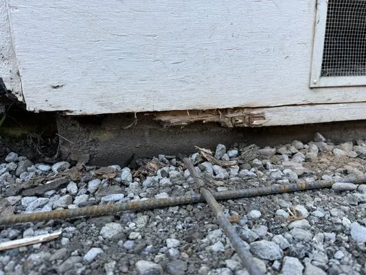 Juan Rodriguez Landscaping Logo