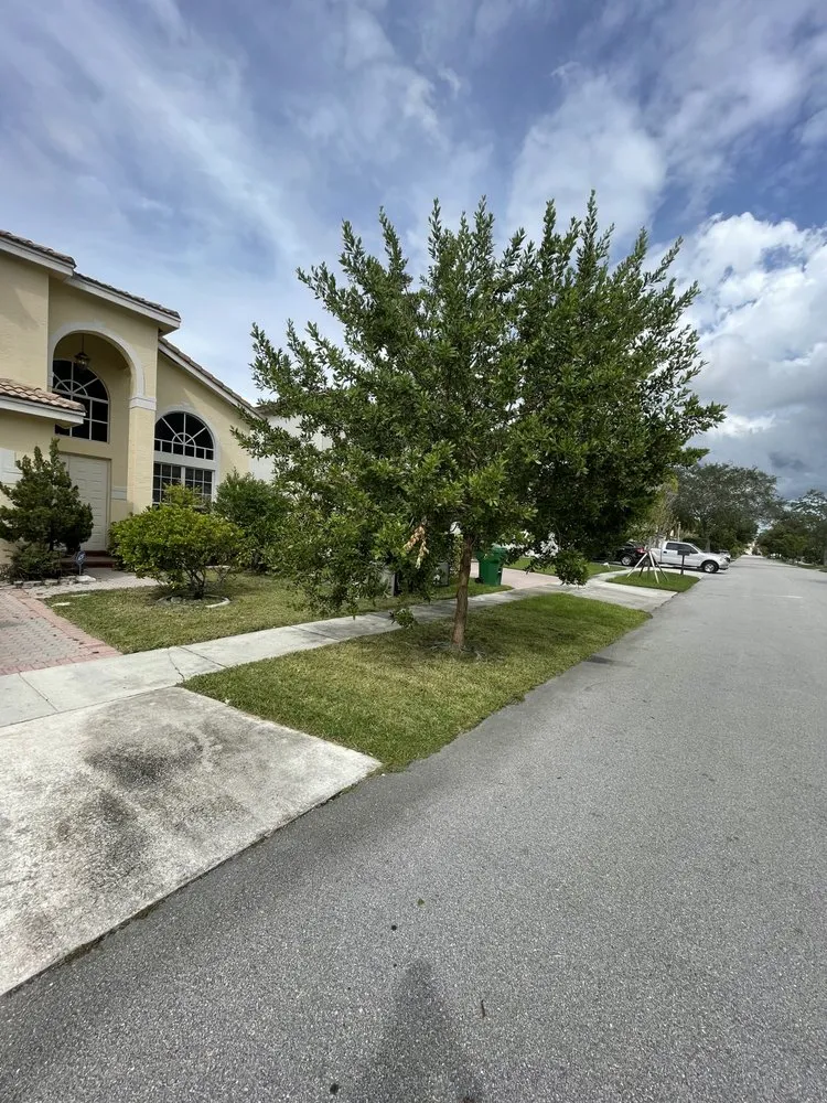 Trusted landscaping services in Miami, FL by Juan Tree services and Landscaping