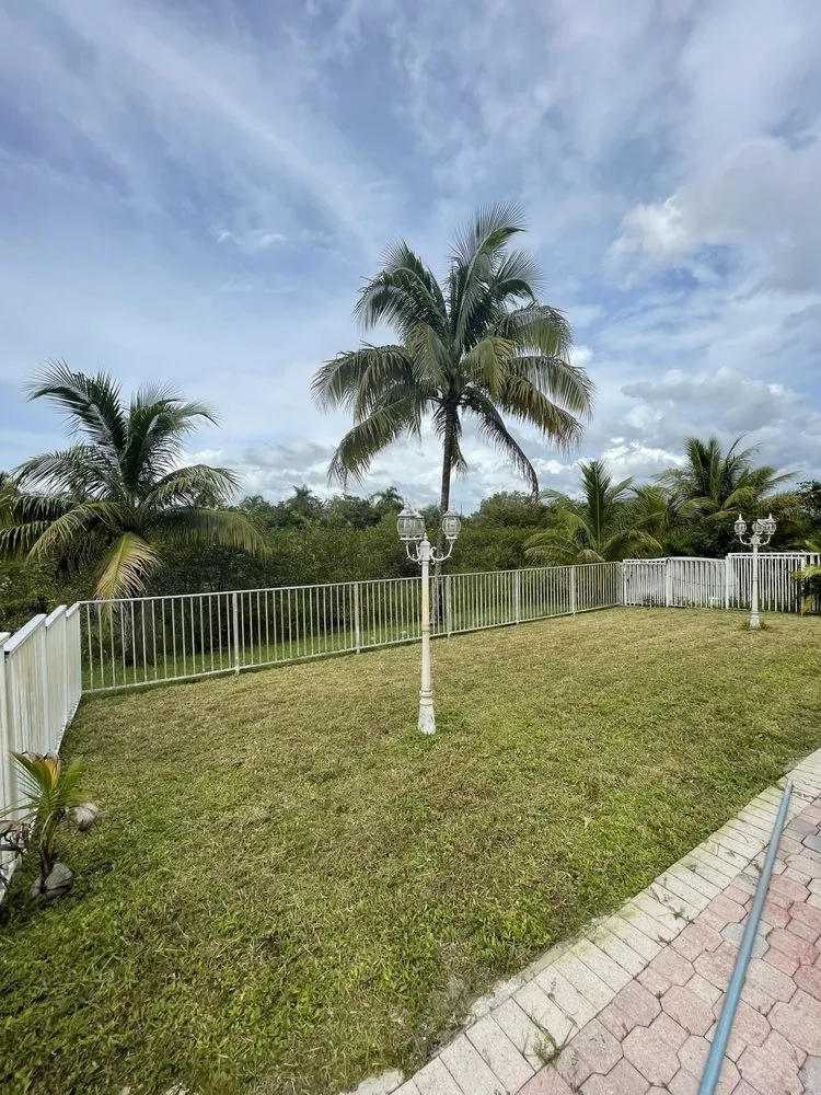 Professional yard cleanup service for outdoor upgrades across Miami, FL - Juan Tree services and Landscaping